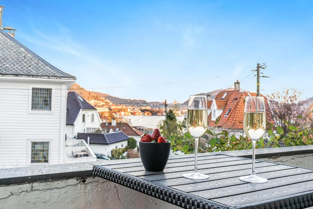 Big Central Apartment W/ A View And Parking Bergen Norveç