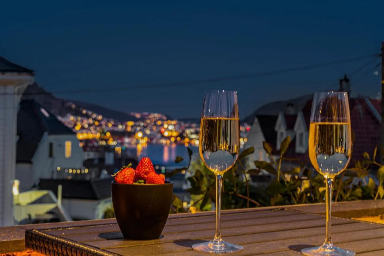 Big Central Apartment W/ A View And Parking Bergen